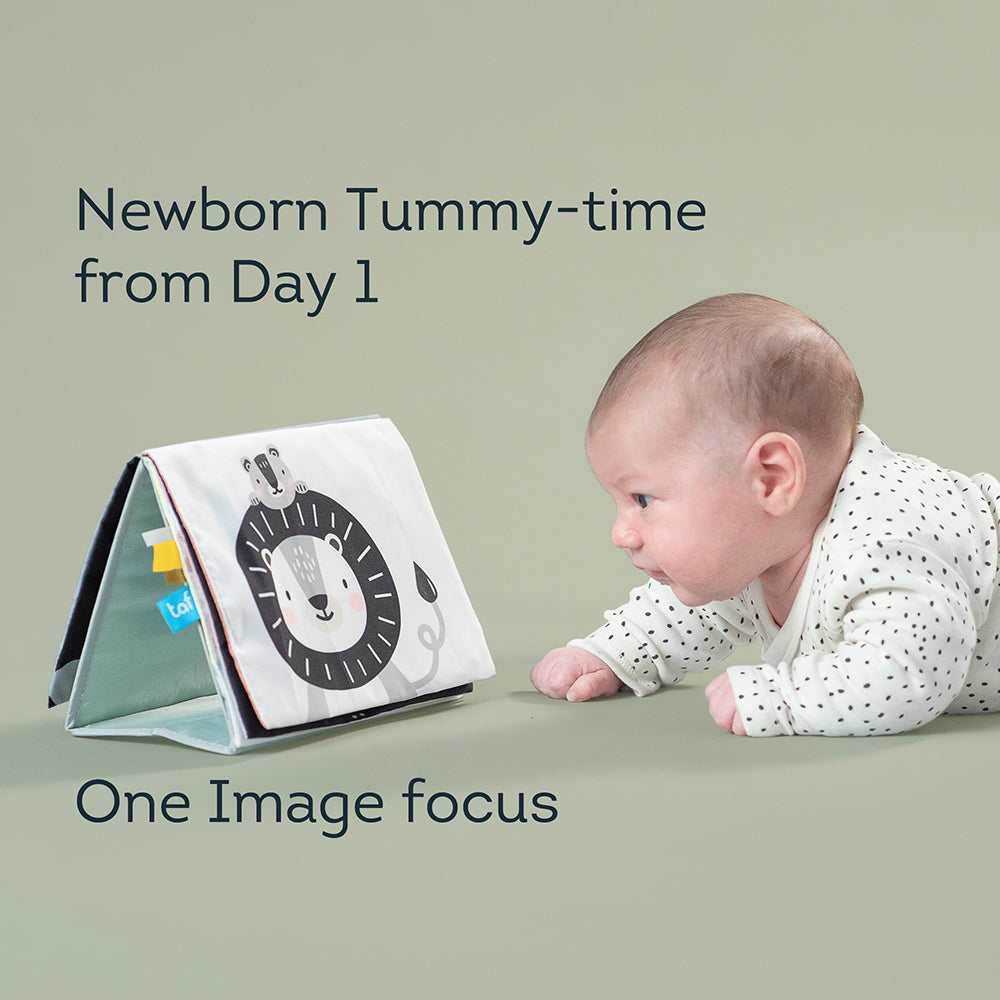 Taf Toys Savannah Tummy-time book