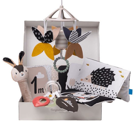 Taf Toys - Newborn Black & White Kit - Marah Kids