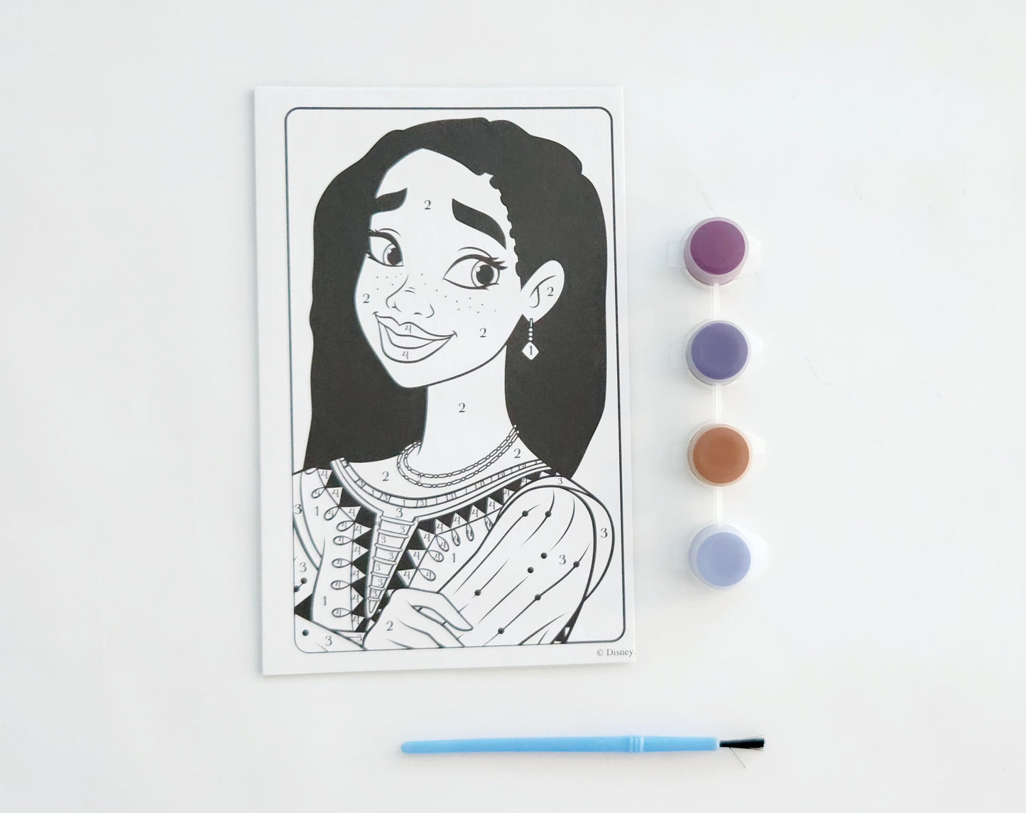Disney Paint By Number Wish