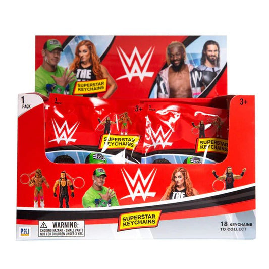 WWE - 3D Figural Keychains In Foil Bag, 24 Pcs In Cdu. - Marah Kids