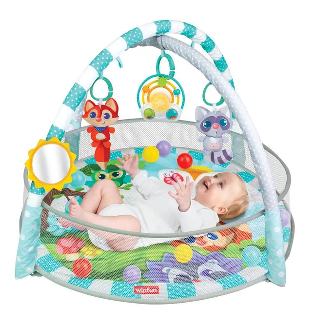 Winfun -PlaySpace Play Gym and Ball Pit
