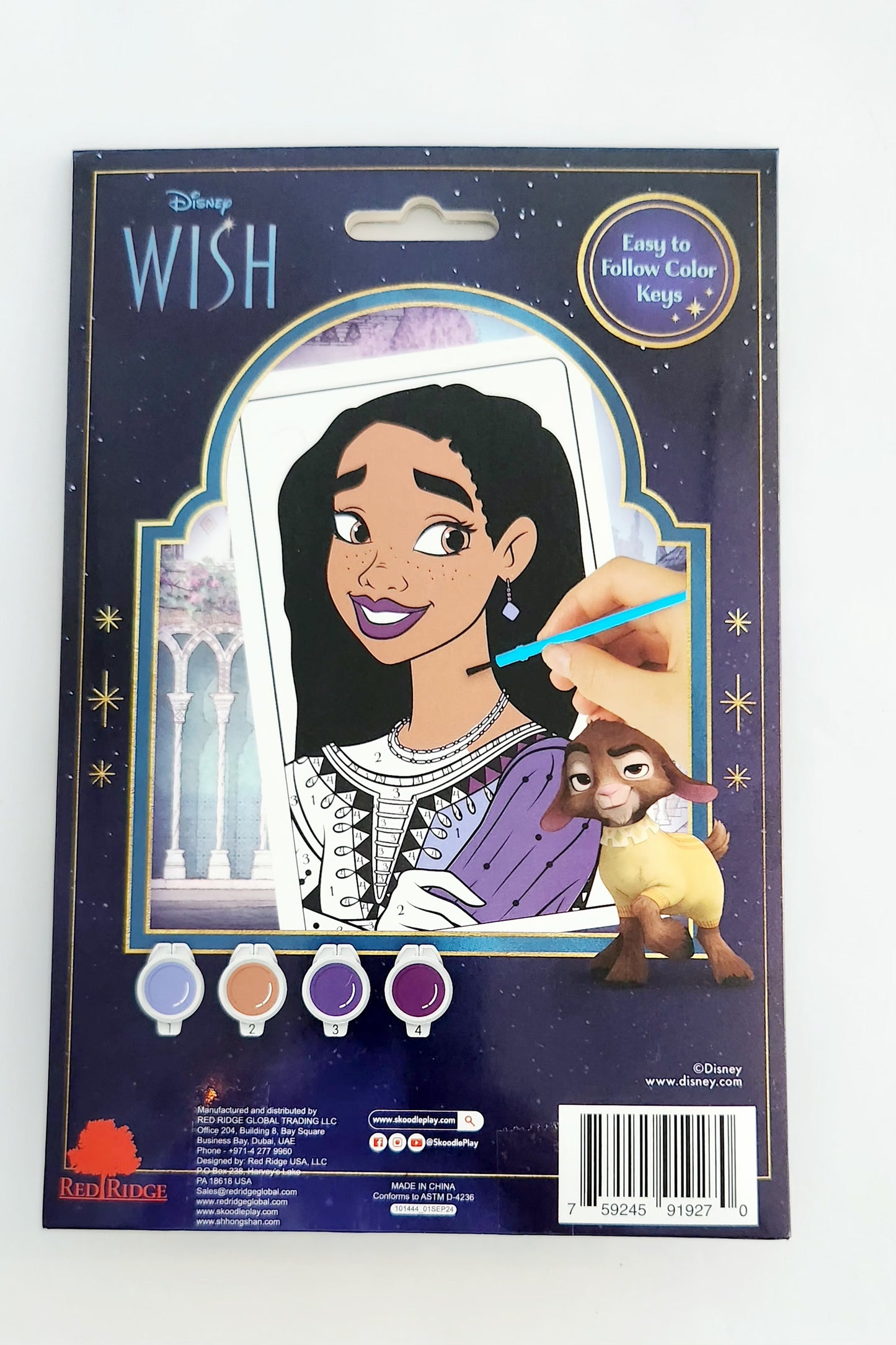 Disney Paint By Number Wish