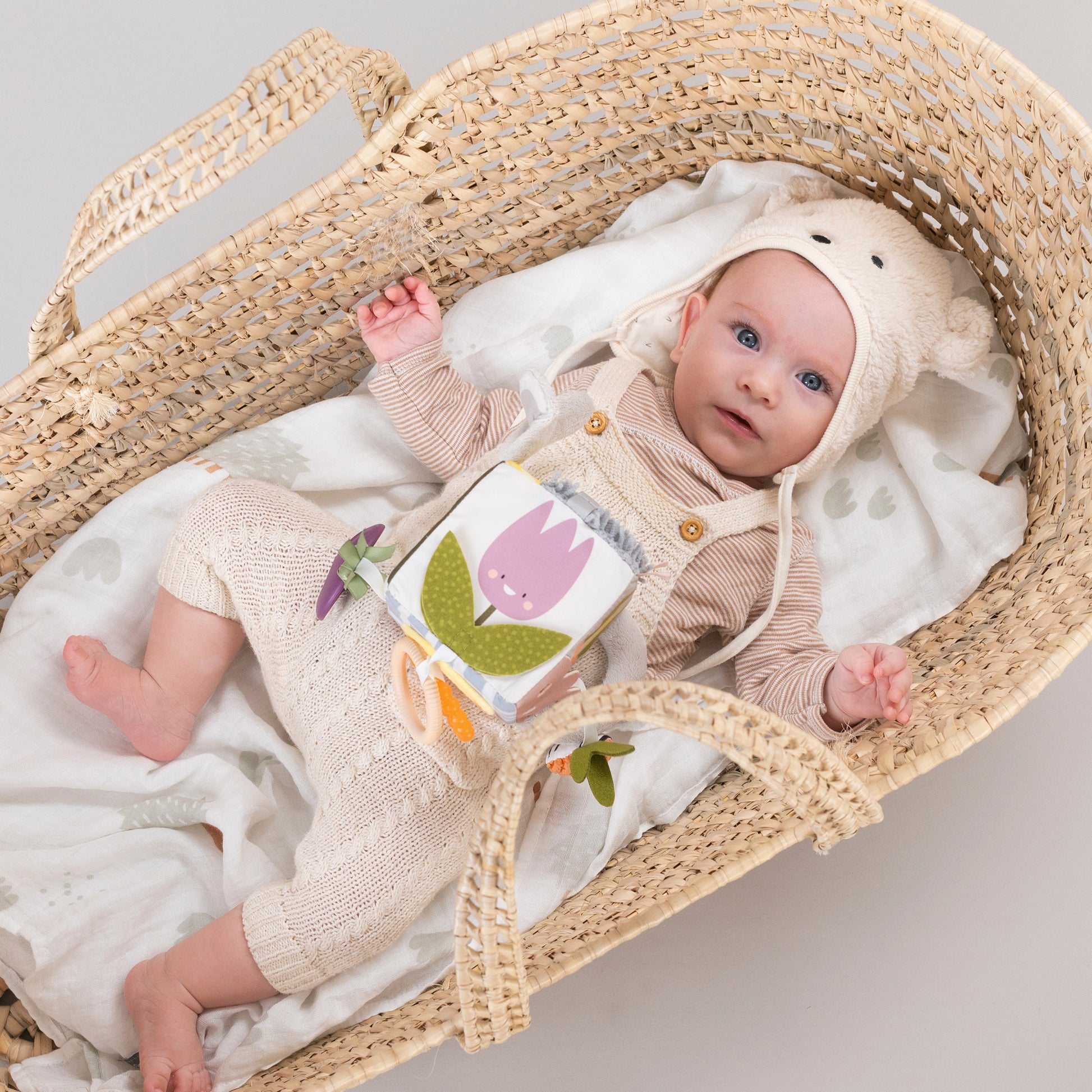 Taf Toys Urban Garden Activity Cube | Sensory Hanging Toy, 0M+ - Marah Kids