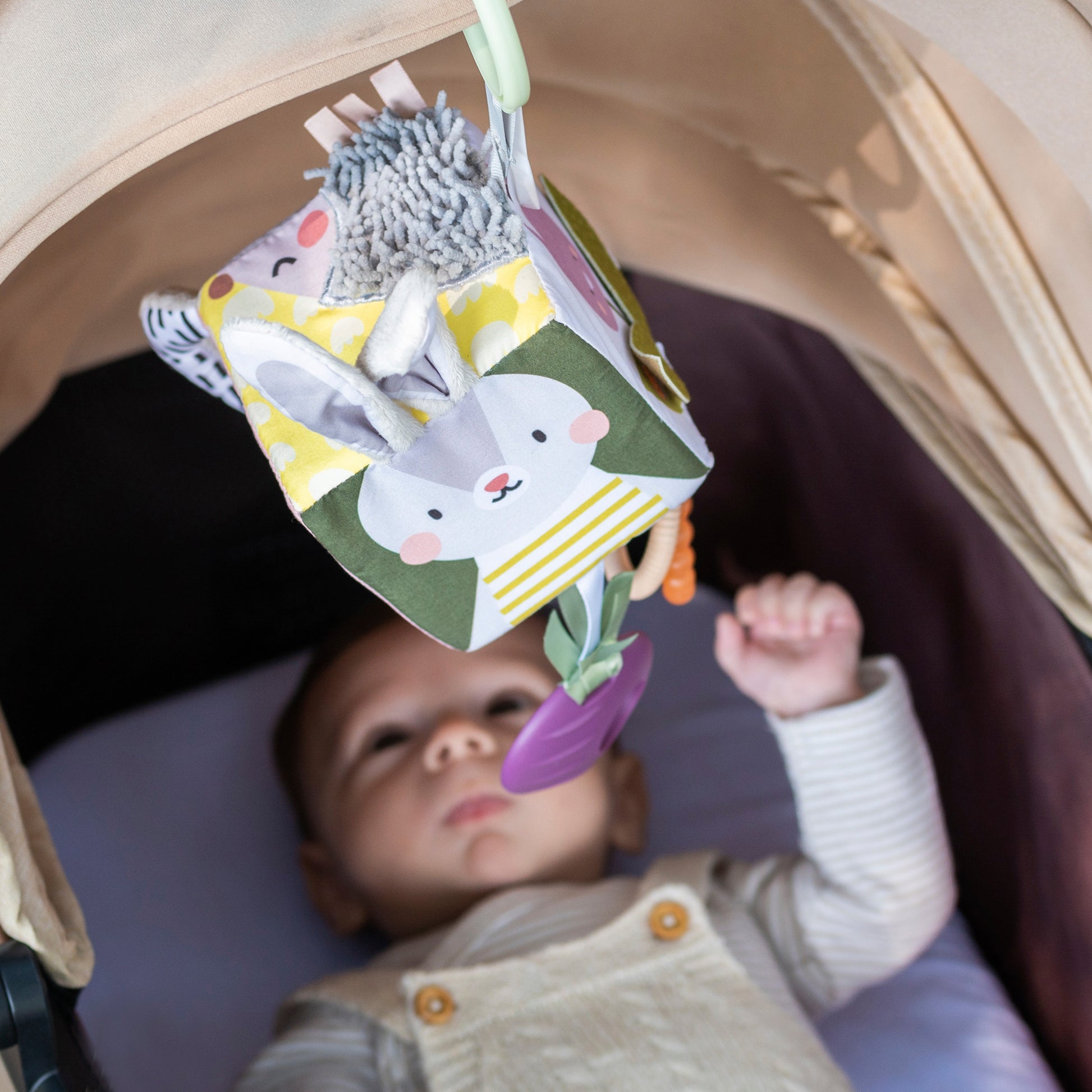 Taf Toys Urban Garden Activity Cube | Sensory Hanging Toy, 0M+ - Marah Kids