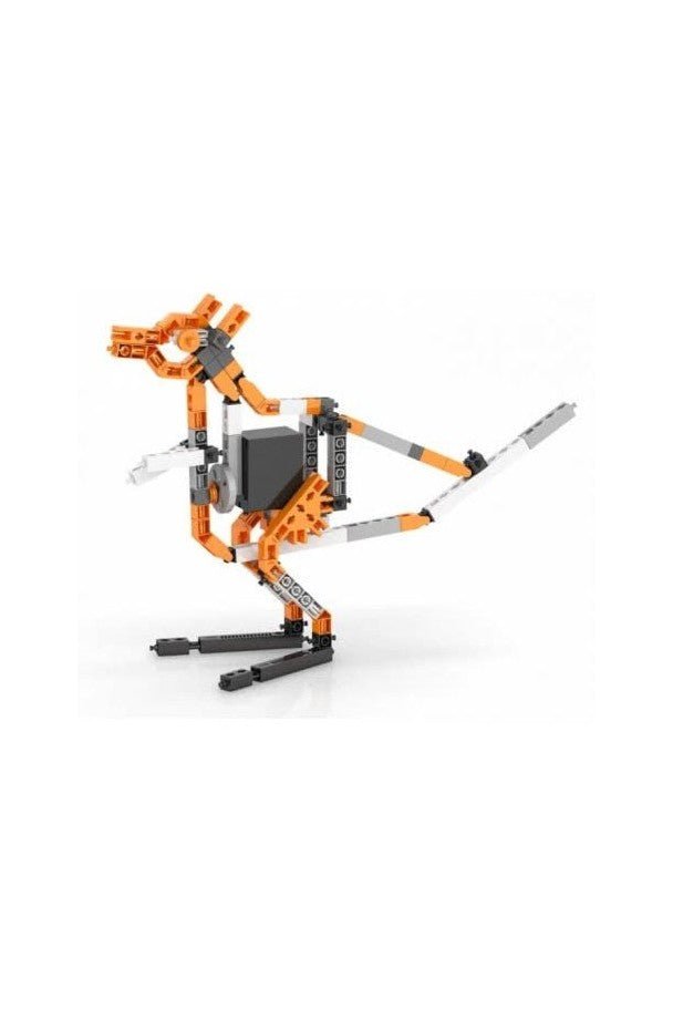 Engino Inventor 50 in 1 Multi - Model Kit with Electrical Motor 5030 - Marah Kids