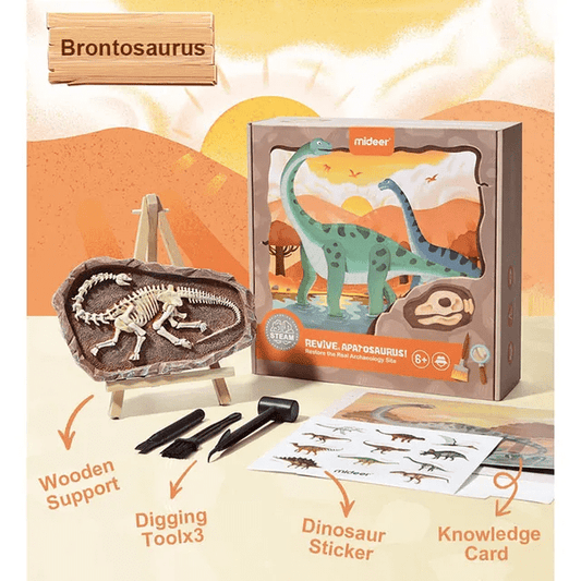 Dig A Dinosaur Kit - Brontosaurus - Marah Kids