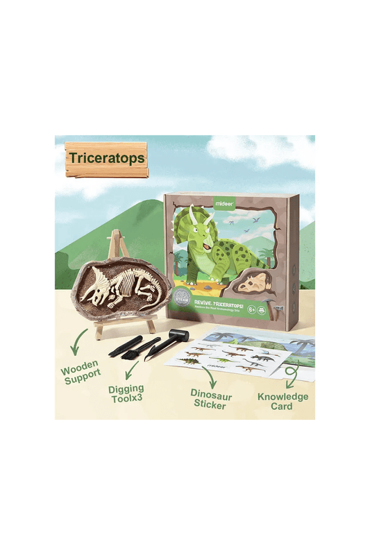 Dig A Dinosaur Kit - Triceratops - Marah Kids