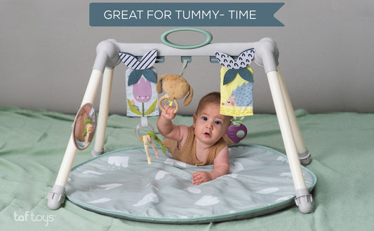 Taf Toys Urban Garden Foldable Gym | Double - Sided Baby Play Gym, 0M+ - Marah Kids