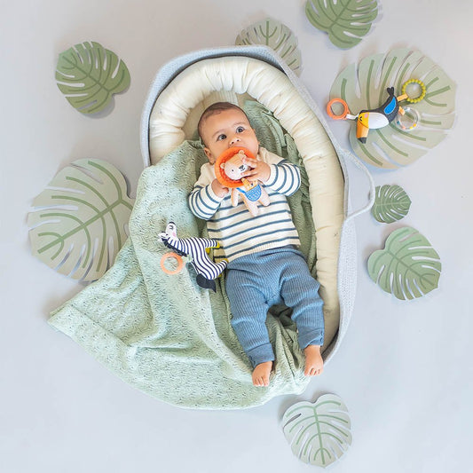 Taf Toys Dizi the Zebra - Marah Kids