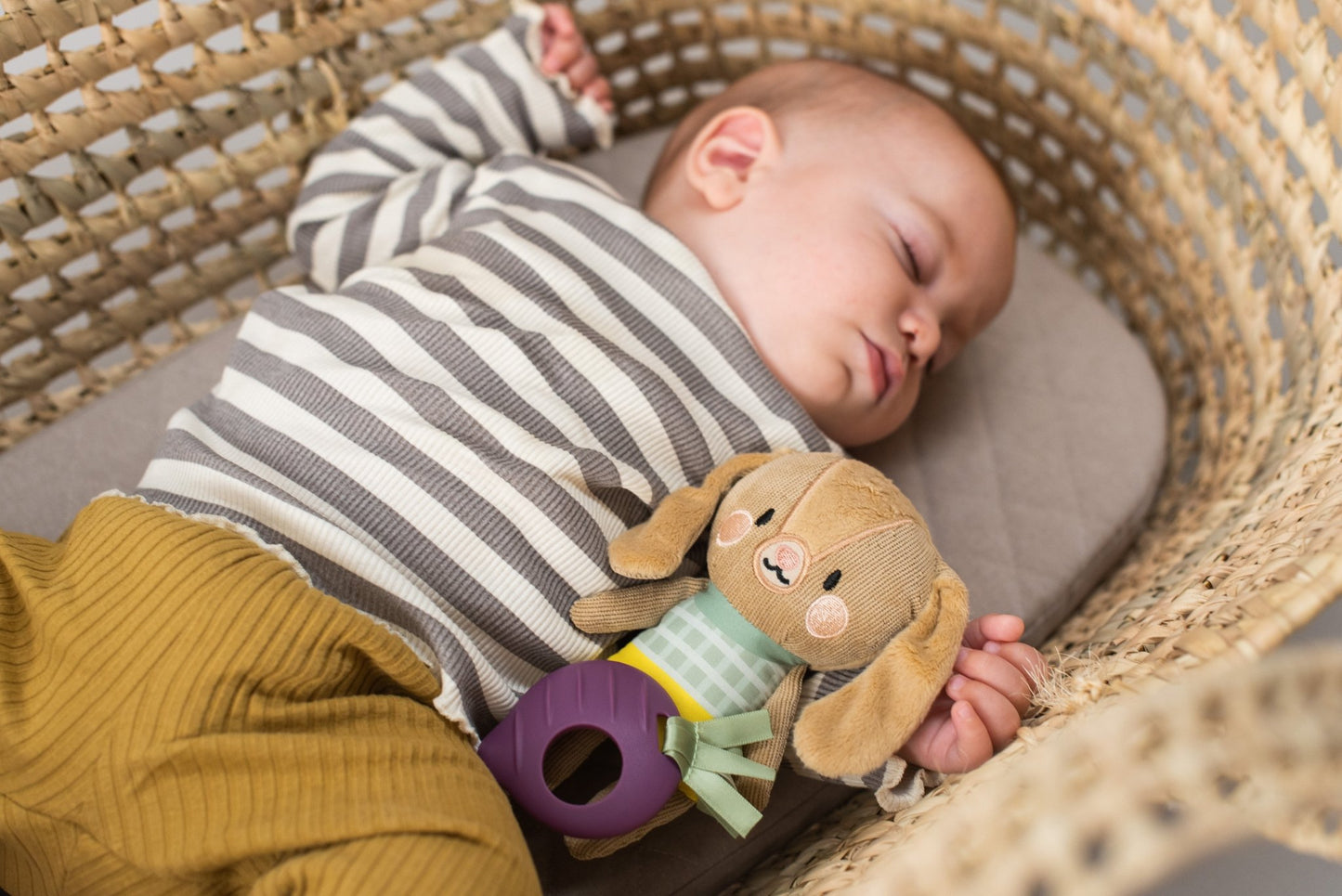 Taf Toys - Jenny The Bunny - Marah Kids