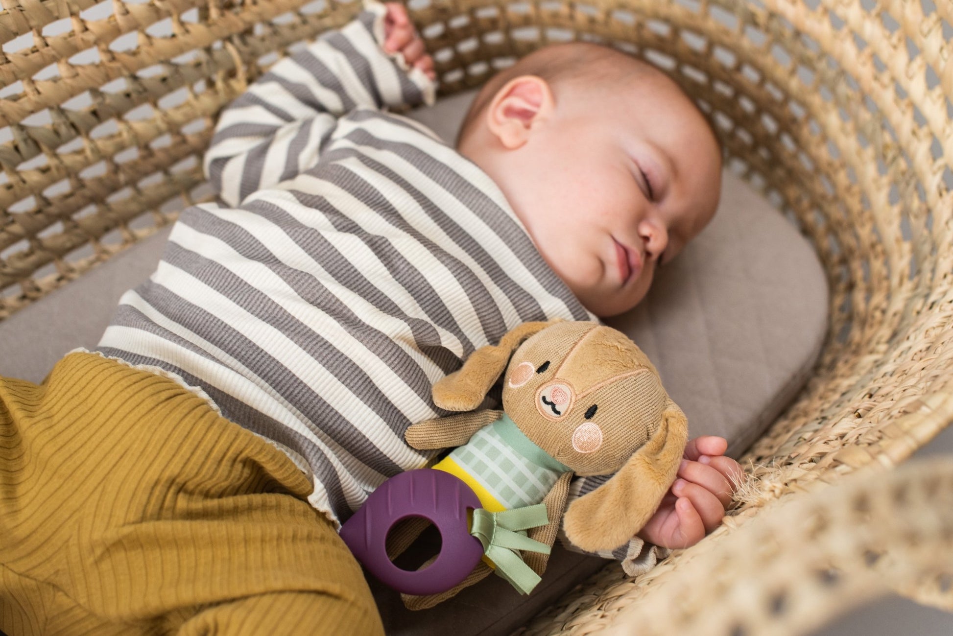 Taf Toys - Jenny The Bunny - Marah Kids