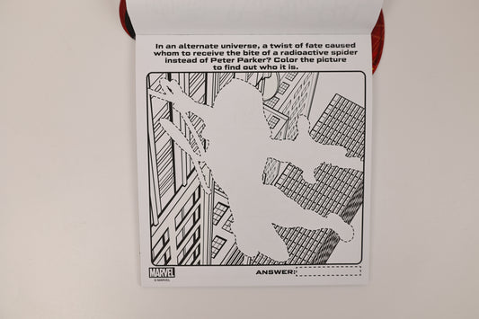 DISNEY SPIDER-MAN MAGIC INK BOOK