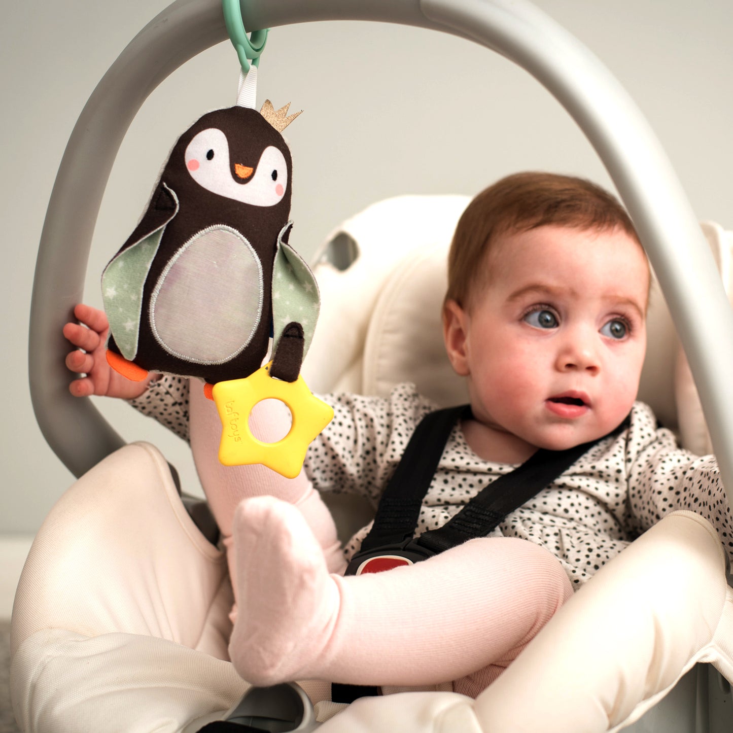Taf Toys Prince the Penguin