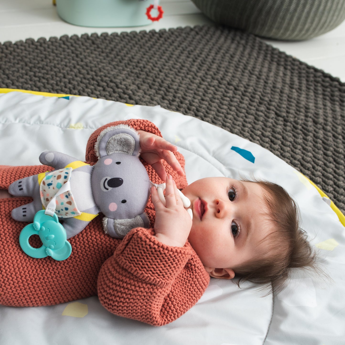 Taf Toys Kimmy the koala