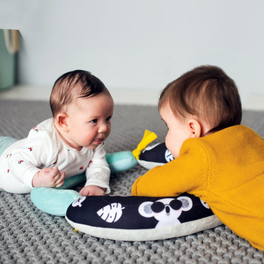 Taf Toys 2 in 1 Tummy time pillow