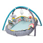 Taf Toys Koala musical newborn cosy gym