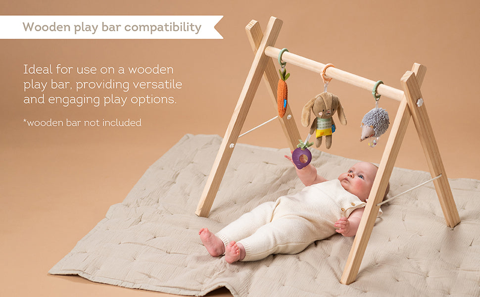 Taf Toys Urban Garden Activity Kit | 3 Plush Sensory Toys for Babies 0M+