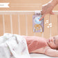 Taf Toys - Bunny Soother & Swaddle Set