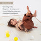 Taf Toys - Fold N Fun Play Mat