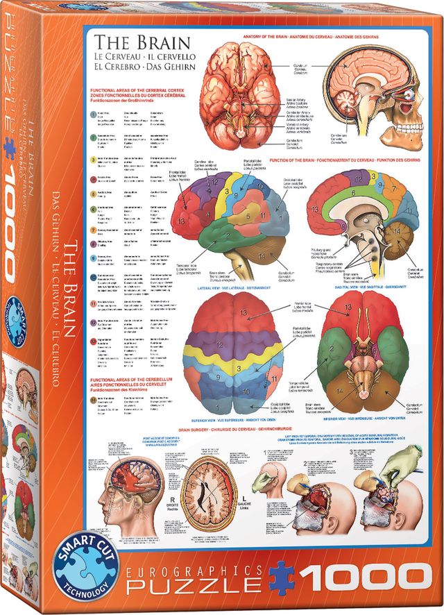 Eurographics Puzzle 1000 The Brain - Marah Kids