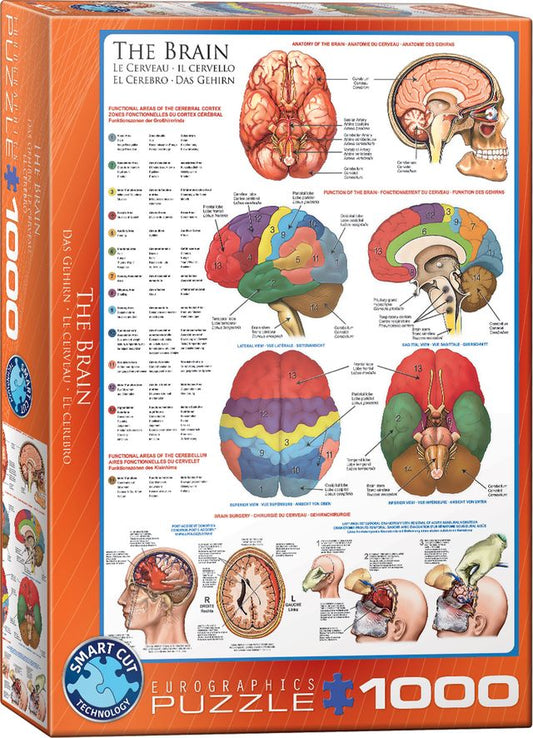 Eurographics Puzzle 1000 The Brain - Marah Kids
