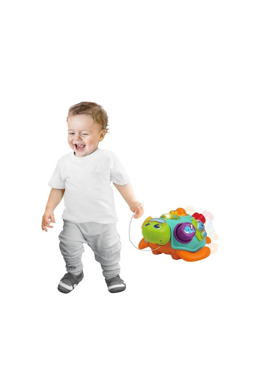 سحب على طول السلحفاة وفرزها وتعلمها