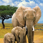 Eurographics Puzzle 250 Elephants - Marah Kids