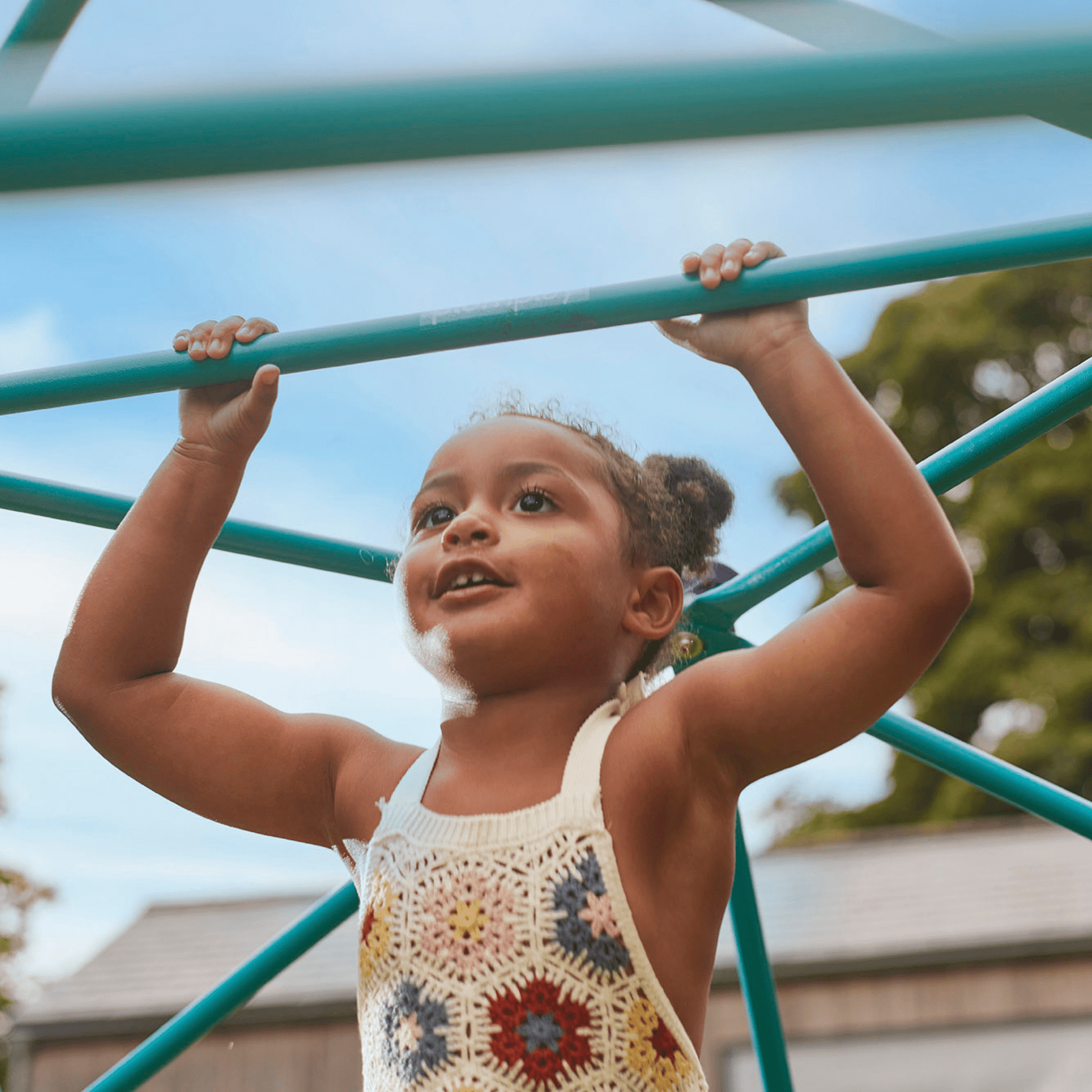 Plum Deimos Metal Dome Climber - Marah Kids