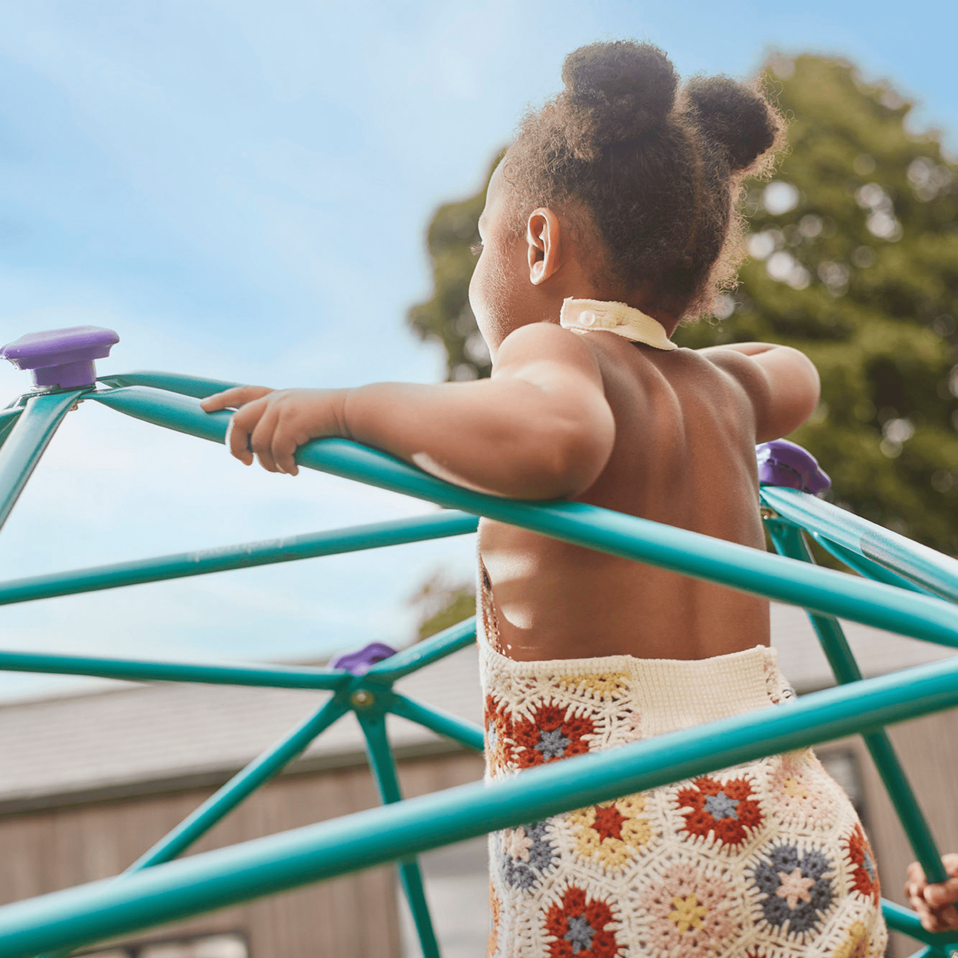 Plum Deimos Metal Dome Climber - Marah Kids