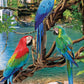 Eurographics Puzzle 250 Macaws - Marah Kids