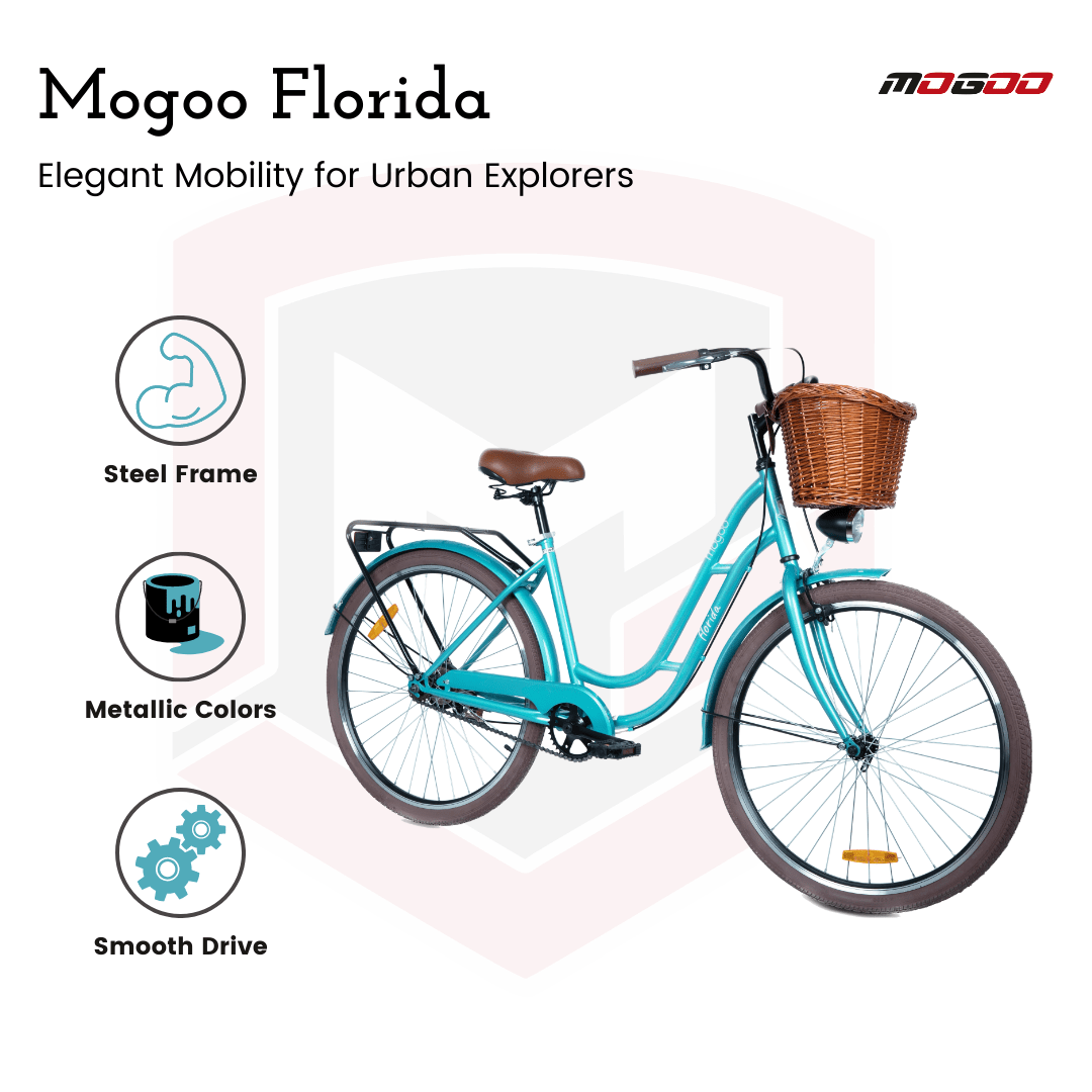 Florida Cruiser Bike - 24 Inch - Mint Green