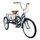 Mogoo - Hauler Single Speed Adult Tricycle - 24 inch - Blue