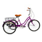 Mogoo - Hauler Single Speed Adult Tricycle - 24 inch - Purple
