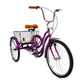 Mogoo - Hauler Single Speed Adult Tricycle - 24 inch - Purple