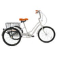 Mogoo - Hauler Single Speed Adult Tricycle - 24 inch - Silver