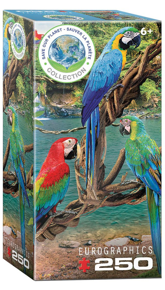 Eurographics Puzzle 250 Macaws - Marah Kids