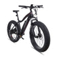 Mogoo Orion 2.0 26" E-Fat Bike Midnight