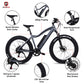 Mogoo Orion 2.0 26" E-Fat Bike Grey