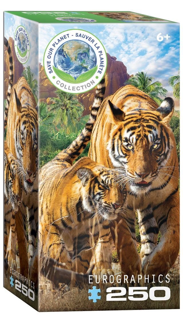 Eurographics Puzzle 250 Tigers - Marah Kids