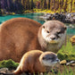 Eurographics Puzzle 250 Otters - Marah Kids
