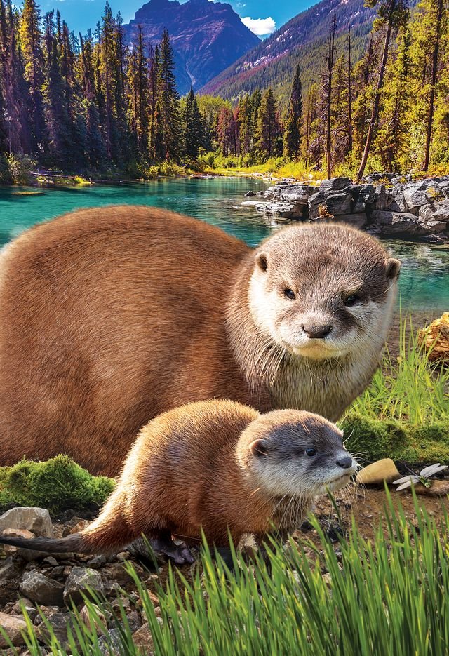 Eurographics Puzzle 250 Otters - Marah Kids