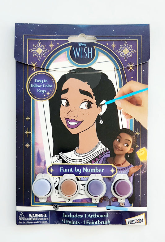 Disney Paint By Number Wish