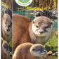 Eurographics Puzzle 250 Otters - Marah Kids