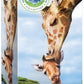 Eurographics Puzzle 250 Giraffes - Marah Kids