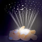 Winfun -Soothing Sounds Light-Up Owl
