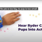 VTECH LICENSE Paw Patrol Movie Chase Learning Watch - Marah Kids