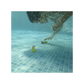 Spinm - Swimways Toypedo Bandits