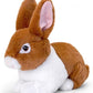 Keel - Keeleco Bunnies 25Cm 3Asst - Marah Kids