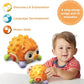 Vtech - Easy Squeezy Hedgehog | Baby, Interactive & Developmental Toy with Sounds and Music | For Boys & Girls, Suitable for Ages 3 Months+ - Marah Kids