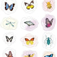 Avenir - Sealing Wax Stickers 10 pack - Insect Multicolour | fabulous sealing wax stickers showcasing a collection of space objects | Ages3+ - Marah Kids
